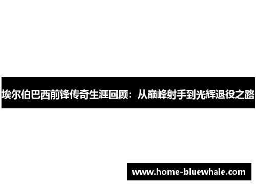 埃尔伯巴西前锋传奇生涯回顾：从巅峰射手到光辉退役之路