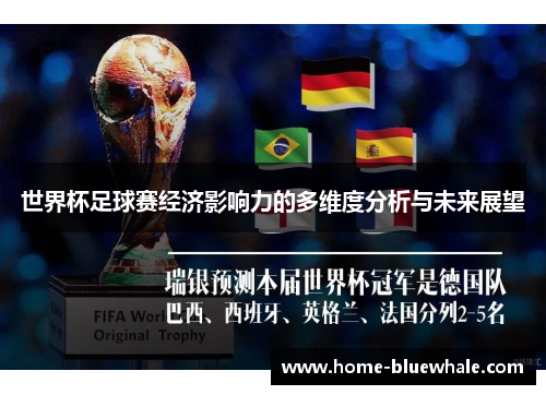 世界杯足球赛经济影响力的多维度分析与未来展望