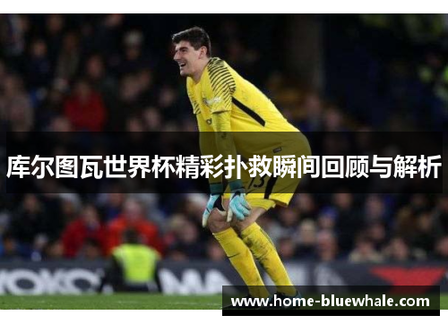库尔图瓦世界杯精彩扑救瞬间回顾与解析