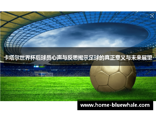 卡塔尔世界杯后球员心声与反思揭示足球的真正意义与未来展望