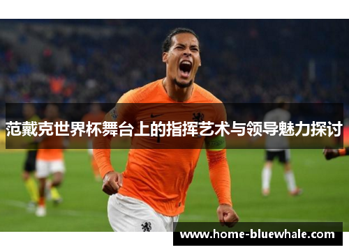范戴克世界杯舞台上的指挥艺术与领导魅力探讨