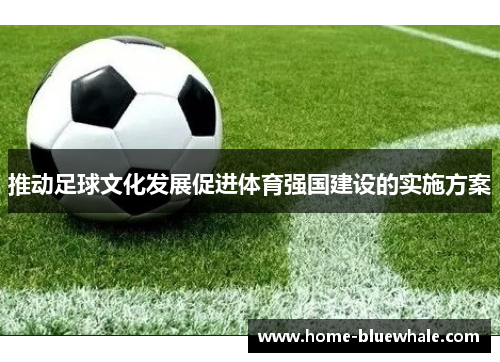 推动足球文化发展促进体育强国建设的实施方案