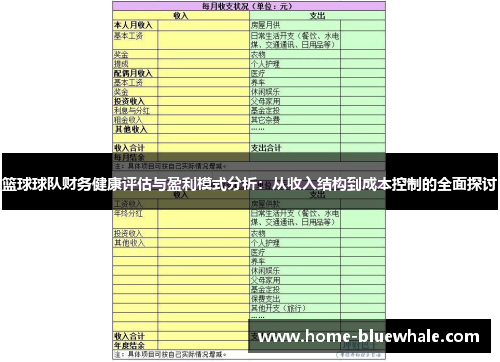 篮球球队财务健康评估与盈利模式分析：从收入结构到成本控制的全面探讨