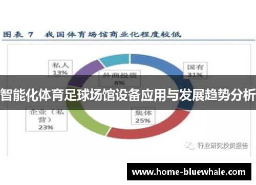 智能化体育足球场馆设备应用与发展趋势分析