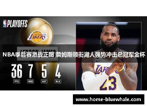 NBA季后赛激战正酣 詹姆斯领衔湖人强势冲击总冠军金杯