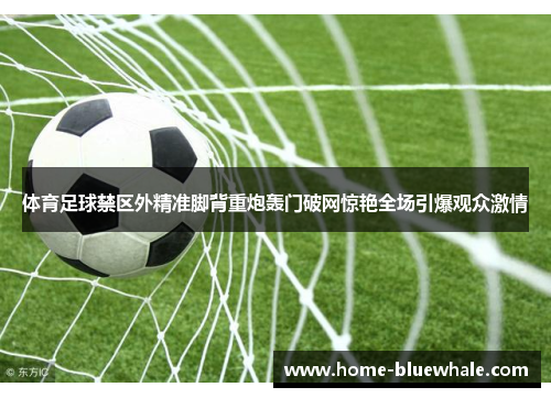 体育足球禁区外精准脚背重炮轰门破网惊艳全场引爆观众激情