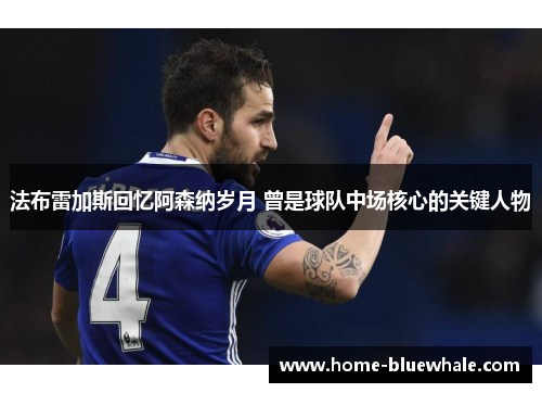法布雷加斯回忆阿森纳岁月 曾是球队中场核心的关键人物