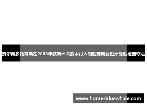 费尔南多托雷斯在2008年欧洲杯决赛中打入制胜球助西班牙战胜德国夺冠