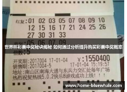 世界杯彩票中奖秘诀揭秘 如何通过分析提升购买彩票中奖概率