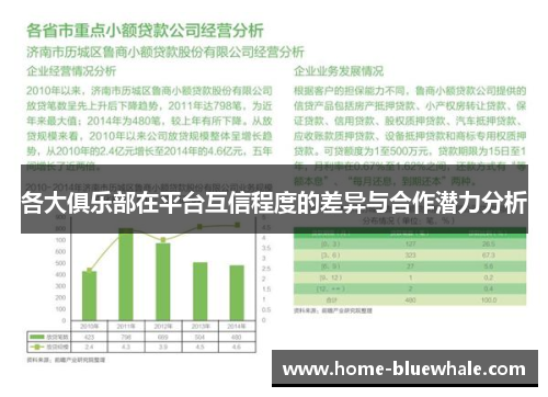 各大俱乐部在平台互信程度的差异与合作潜力分析