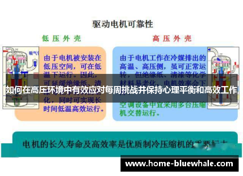 如何在高压环境中有效应对每周挑战并保持心理平衡和高效工作