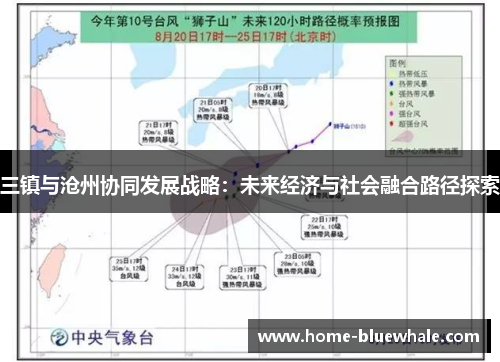 三镇与沧州协同发展战略：未来经济与社会融合路径探索